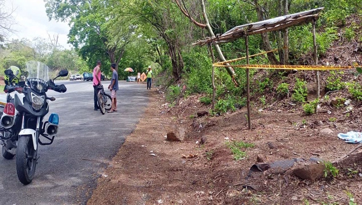 FETO PUNTARENAS
