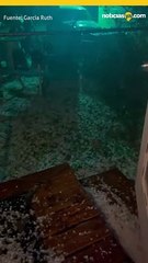 ¡Enormes "bolas" de hielo cayeron en EP y NM! ¿Regresará el granizo?