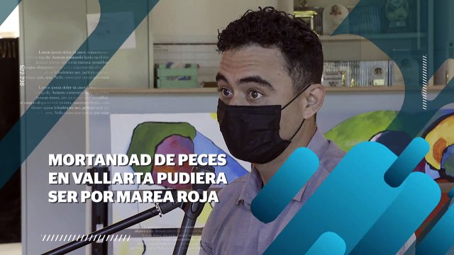 Mortandad de peces en Vallarta pudiera ser por marea roja | CPS Noticias Puerto Vallarta