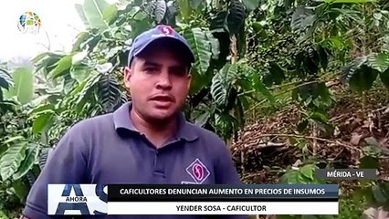 Caficultores en #Mérida denuncian aumento en precios de insumos - #27Abr - Ahora