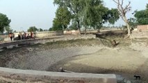 श्रीगंगानगर जिले के ग्रामीण क्षेत्र में डिग्गियों में पानी खत्म, संकट गहराया