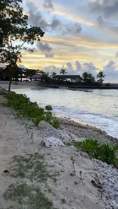 Yannick Noah et ses enfants en vacances à la Jamaïque.