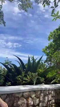 Yannick Noah et ses enfants en vacances à la Jamaïque.