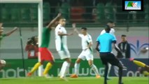 ملخص أخطاء التحكيم مباراة - الجزائر- الكاميرون .