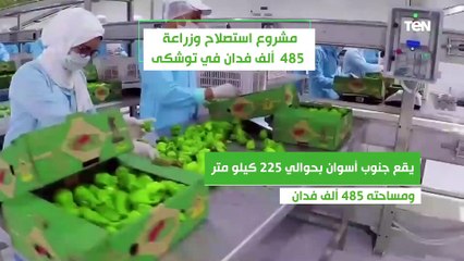 مشروع استصلاح وزراعة 485 ألف فدان في توشكى