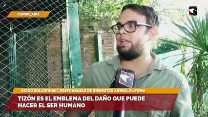 Tizón es el emblema del daño que puede hacer el ser humano