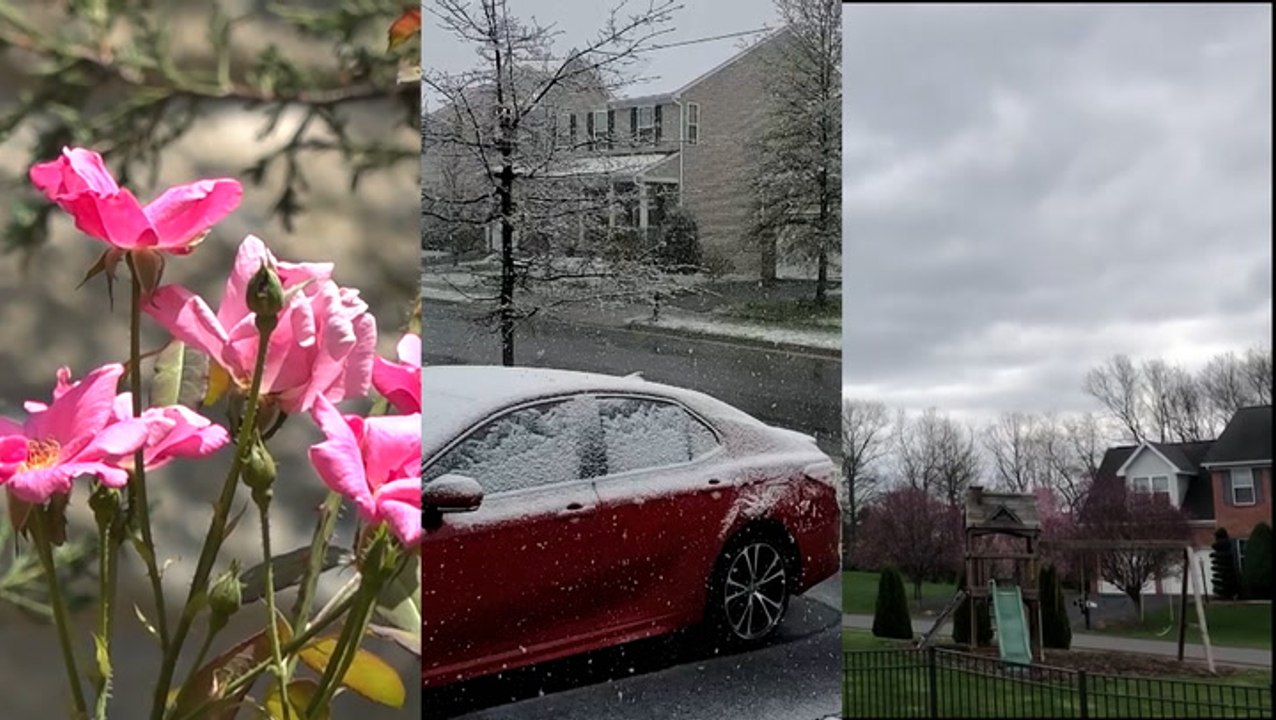 Why spring can’t hold onto high temperatures