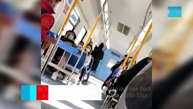 Se le trabó la cabeza en el asiento del Tren Roca y generó demoras entre La Plata y Villa Elisa