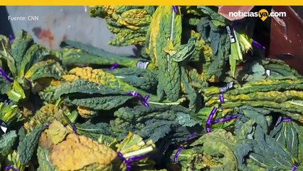 Desperdicios de comida y las compostas