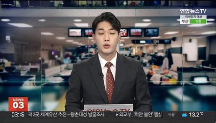 일본 자민당, '적기지 공격능력' 정부에 제안