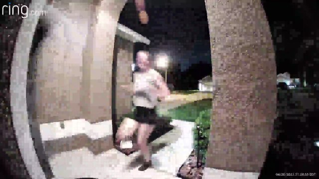 Couple Letting Dog Out Are Chased Inside by Black Bear