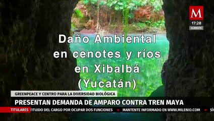 Greenpeace presenta amparo contra decreto con el que se ejecuta tramo 5 del Tren Maya