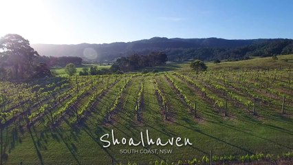 Wine and Whales Promo Video