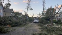 New Jersey town replaces damaged trees months after devastating tornado