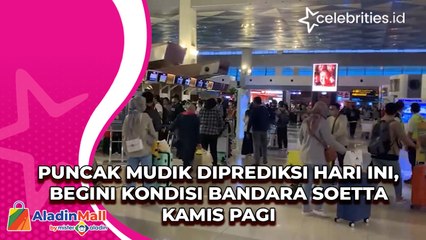 Puncak Mudik Diprediksi Hari Ini, Begini Kondisi Bandara Soetta Kamis Pagi