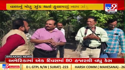 Know why Jamnagar's Raj Ved Karunashankar Bhatt is known by the name of 'Zandu Bhatt' _TV9News