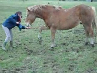 cheyko : pas espagnol