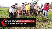 Tersengat Listrik, Petani Tewas Saat Basmi Hama Tikus