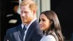 Meghan Markle 'gave Prince Harry the tools to leave' the Royal Family as Duke 'wanted out'