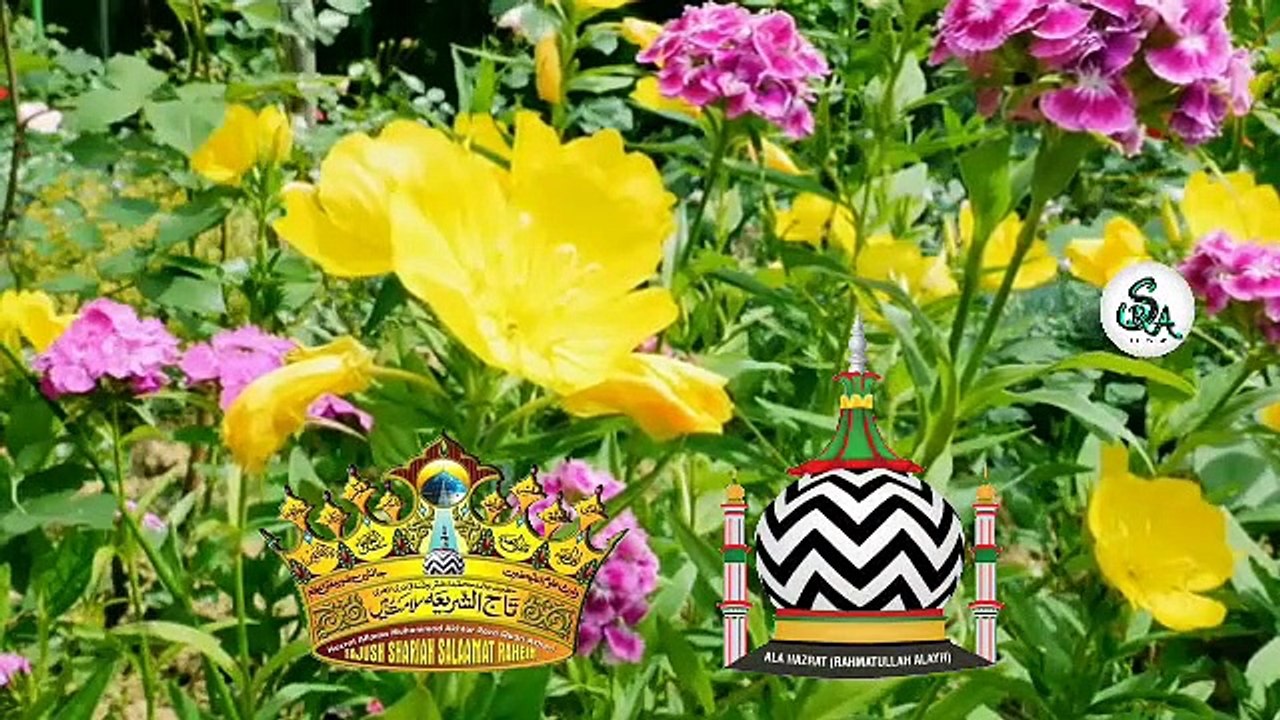 #WADI RAZA KI HAI HIMALA RAZA KA HAI #NAAT