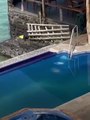 Équateur: Une otarie sort de la mer pour aller dans la piscine d'un hôtel puis voler le transat d'un touriste
