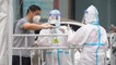 H3N8 Bird Flu First Human Case In China నాలుగేళ్ల బాలుడిలో లక్షణాలు | Telugu Oneindia