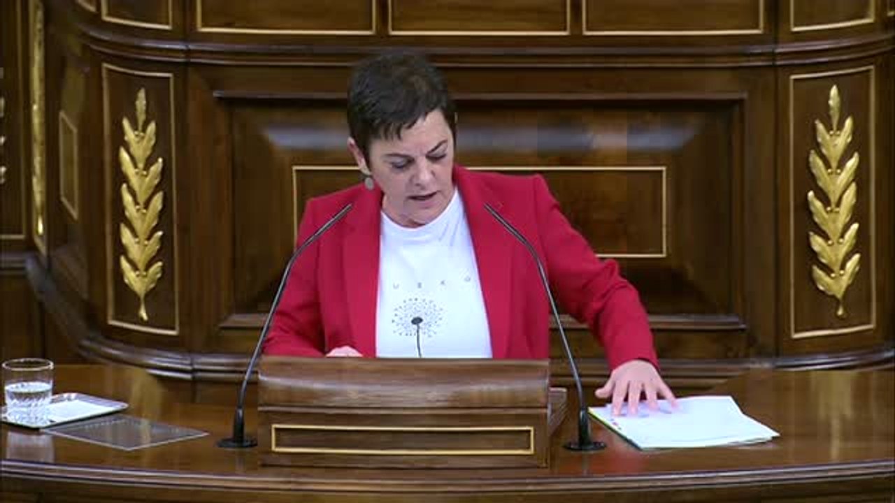 Bildu apoyará el decreto de medidas anticrisis "por la ciudadanía"