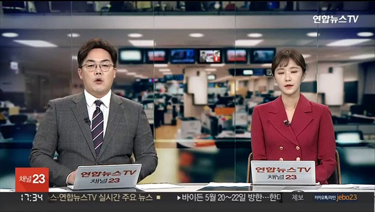 포항서 호기심에 길고양이 6마리 죽인 20대 구속