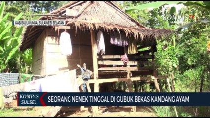 Seorang Nenek Tinggal Di Gubuk Bekas Kandang Ayam