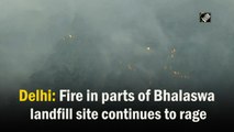 Fire in parts of Delhi's Bhalaswa landfill site continues to rage