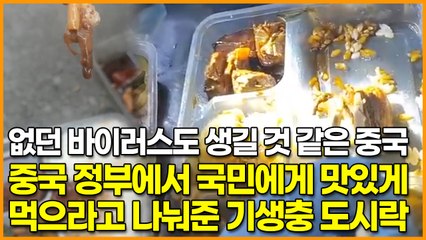 없던 바이러스도 생길 것 같은 중국, 중국 정부에서 국민에게 맛있게 먹으라고 나눠준 기생충 도시락