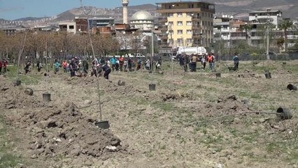 Bornova Belediyesi'nden Karacaoğlan Mahallesi'ne Fidan Dikimi