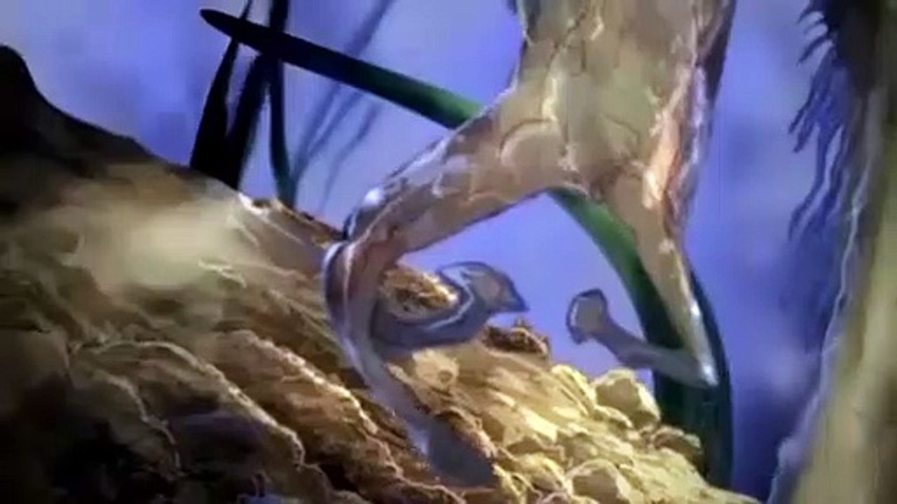 Mushroom Men: Rise of the Fungi #1