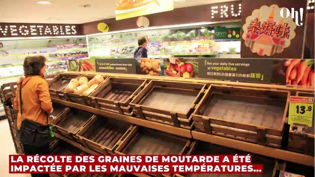 Pénurie : après l'huile de tournesol, ce produit du quotidien pourrait disparaitre des rayons dans les prochains jours