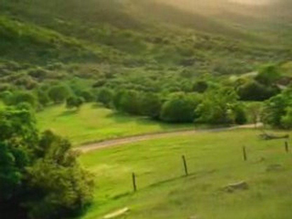 Pub pour une boisson