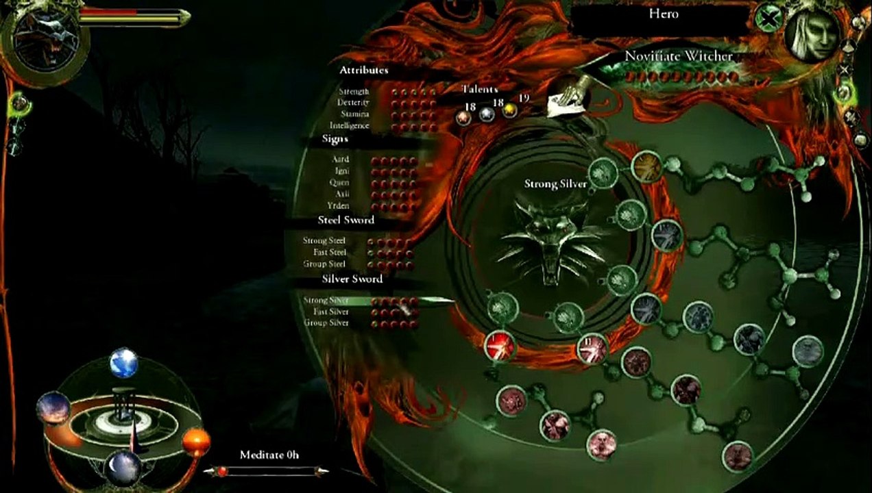 The Witcher combat