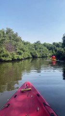 Kayaking, Mangroves Ajman, UAE