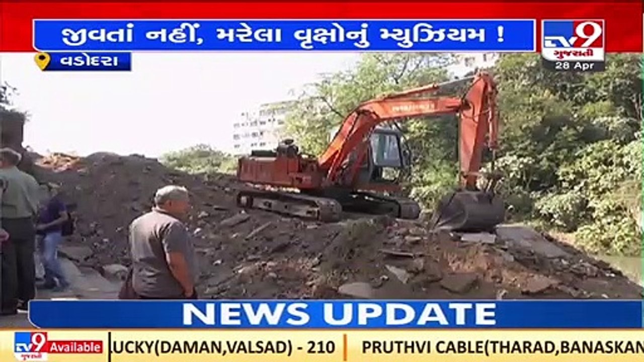 Vadsar tree museum have turned into museum of dead trees _Vadodara _Gujarat _TV9GujaratiNews