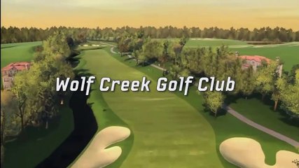 Tiger Woods PGA Tour 09 #1