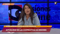 Actualidad de las cooperativas de Misiones