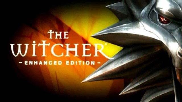 The Witcher: Enhanced Edition Gestures and Dialogue