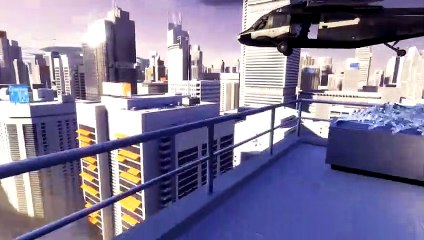 Mirror's Edge Flight Level