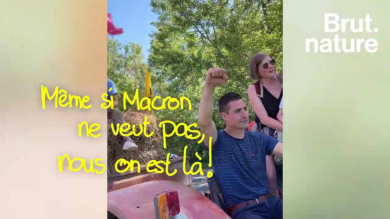 Un village en guerre contre une ferme-usine de 200 000 poules