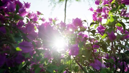 The Bodrum EDITION. Hotel de lujo en Turquía