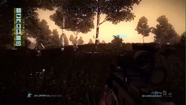 Operation Flashpoint: Dragon Rising multiplayer