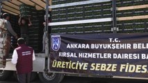 Ankara Büyükşehir'den Başkentli Üreticiye Sebze Fidesi Desteği