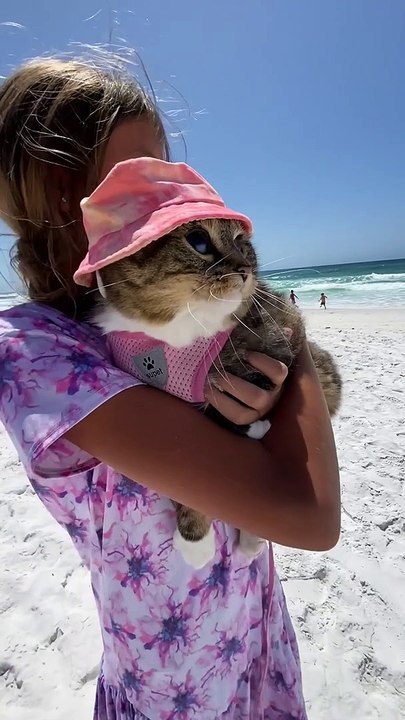 Beach Hat for Beach Cat