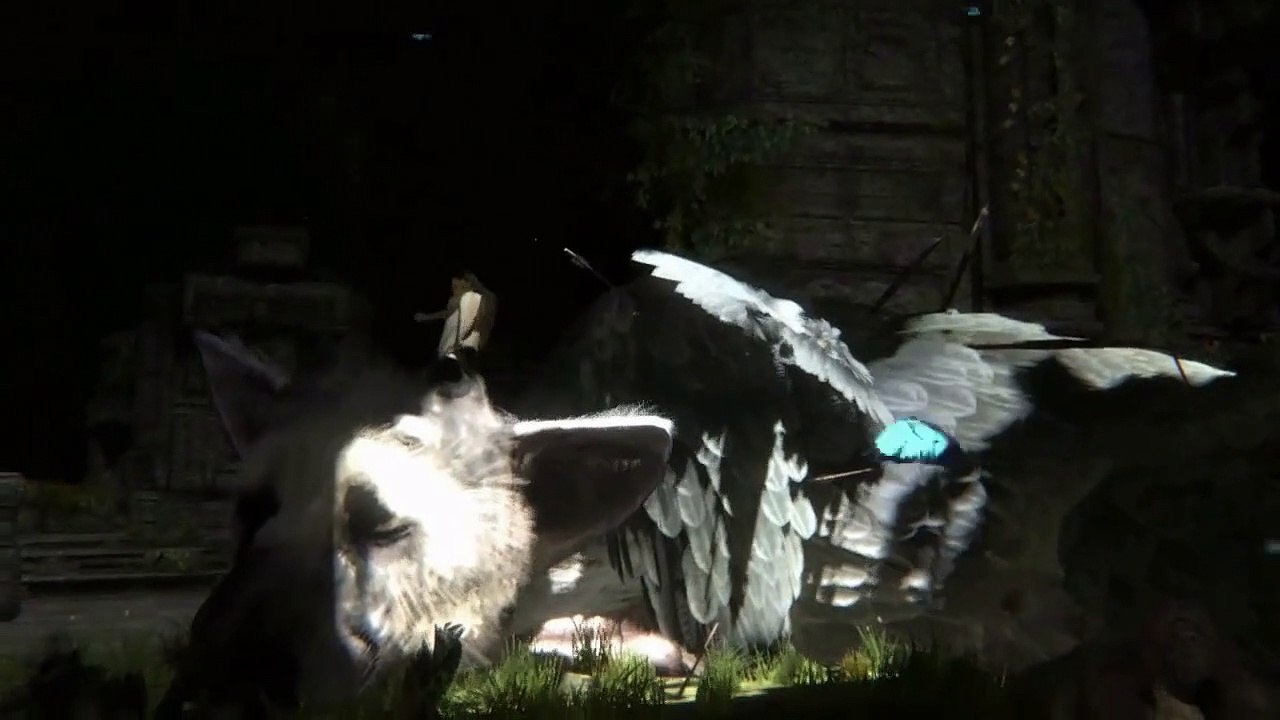 The Last Guardian TGS 2010