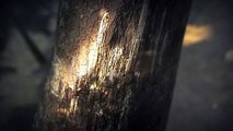 Dungeon Siege III teaser