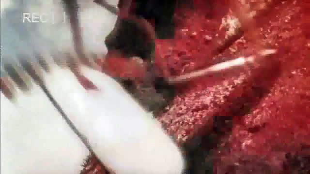 Operation Flashpoint: Red River Ryan Balletto